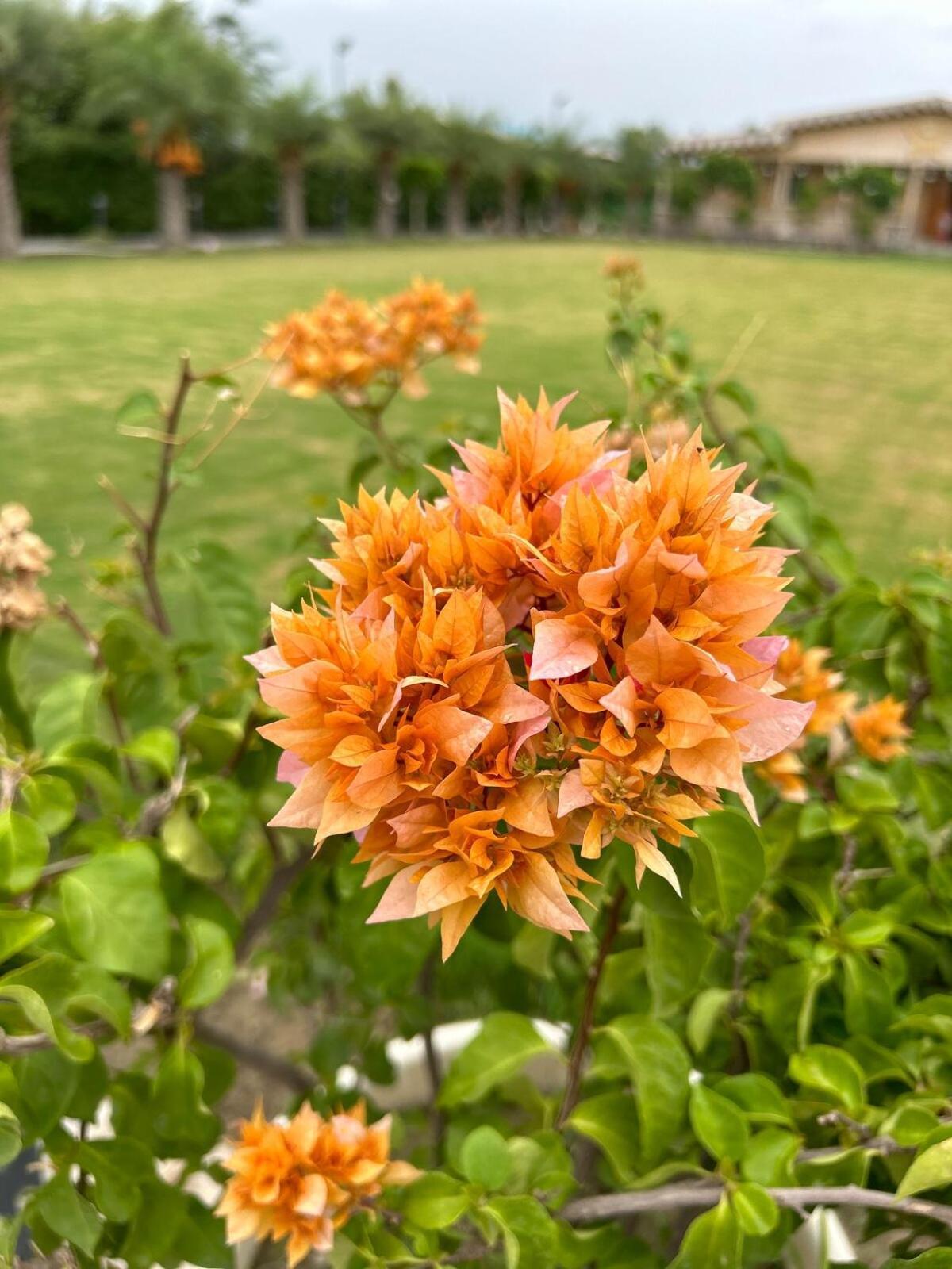 Vanraj Farm Greater Noida Eksteriør billede